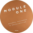 MODULE ONE - SOUNDS, PICTURES, AND.. (Disco Vinilo LP)