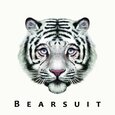 BEARSUIT - PHANTOM FOREST (Disco Vinilo LP)