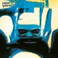 PETER GABRIEL - 4:SECURITY (Disco Vinilo LP)