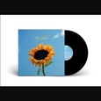 SNUTS - JOY IN SHORT MOMENTS -HQ- (Disco Vinilo LP)