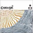 CAUSA SUI - SUMMER SESSIONS VOL.2 (Disco Vinilo LP)