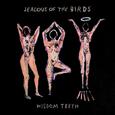 JEALOUS OF THE BIRDS - WISDOM TEETH (Disco Vinilo LP)