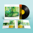FORD, JAMES ELLIS - LOST IN ANOTHER WORLD -HQ- (Disco Vinilo LP)