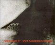 WHITLEY, CHRIS - SOFT DANGEROUS SHORES (Compact Disc)