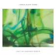 FORD, JAMES ELLIS - LOST IN ANOTHER WORLD -HQ- (Compact Disc)