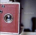 PORTRAIT OF DAVID - THESE DAYS ARE HARD TO (Compact Disc)