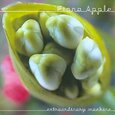 APPLE, FIONA - EXTRAORDINARY MACHINE (Compact Disc)