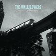 WALLFLOWERS - GREATEST HITS (Compact Disc)