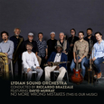 LYDIAN SOUND ORCHESTRA - NO MORE WRONG MISTAKES (THIS IS OUR MUSI (Compact Disc)