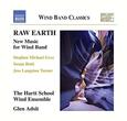 VARIOS ARTISTAS - RAW EARTH: NEW MUSIC FOR (Compact Disc)
