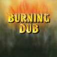 REVOLUTIONARIES - BURNING DUB (Disco Vinilo LP)