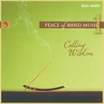 VARIOUS ARTISTS - PEACE OF MIND MUSIC 1 (Compact Disc)