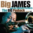 BIG JAMES & CHICAGO PLAYB - BIG PLAYBACK - LIVE (Compact Disc)