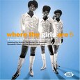 VARIOUS ARTISTS - WHERE THE GIRLS ARE 5 (Compact Disc)