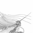 KPTMICHIGAN - KPTMICHIGAN (Compact Disc)