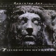 FIELDS OF THE NEPHILIM - MOURNING SUN (Compact Disc)