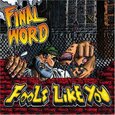 FINAL WORD - FOOLS LIKE YOU (Compact Disc)