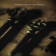 BROKEN CONSORT - CROW AUTUMN (Compact Disc)