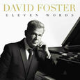 FOSTER, DAVID - ELEVEN WORDS (Compact Disc)