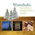 DI MEOLA, AL/BONEY JAMES - WINTERLUDES (Compact Disc)