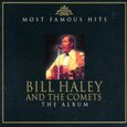 HALEY, BILL - ALBUM-MOST FAMOUS HIT (Compact Disc)