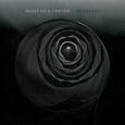 HEART OF A COWARD - SEVERANCE + DVD (Compact Disc)