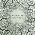 HAIG, PAUL - WOOD (Disco Vinilo LP)