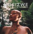 NOSIZWE - IN FRAGMENTS (Compact Disc)