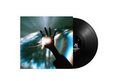 ARCHITECTS - SKY, THE EARTH & ALL BETWEEN -HQ- (Disco Vinilo LP)