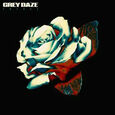 GREY DAZE - AMENDS -HQ- (Disco Vinilo LP)