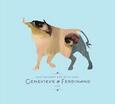 MCGARRY, KATE - GENEVIEVE & FERDINAND (Compact Disc)