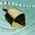 FRUIT BATS - SPELLED IN BONES (Compact Disc)