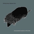 COENDERS, ANNEMARIEKE - MAKING HEAPS DIGGING.. (Compact Disc)
