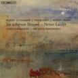 VARIOUS ARTISTS - IM SCHOENEN STROME (Super Audio CD)