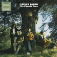 MOTHER EARTH - PEOPLE TREE -LTD- (Disco Vinilo LP)