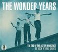 VARIOS ARTISTAS - WONDER YEARS (Compact Disc)