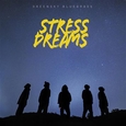 GREENSKY BLUEGRASS - STRESS DREAMS -HQ- (Disco Vinilo LP)