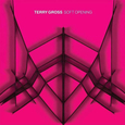 GROSS, TERRY - SOFT OPENING (Disco Vinilo LP)
