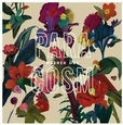 WASHED OUT - PARACOSM (Compact Disc)
