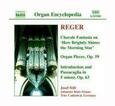 REGER, MAX - ORGAN WORKS VOL.4 (Compact Disc)