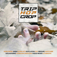 VARIOUS ARTISTS - TRIP HOP CROP (Compact Disc)