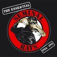 SEMINAL RATS - ESSENTIAL 1984-91 (CD BOOK) (Compact Disc)