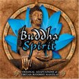 ANAEL & BRADFIELD - BUDHHA SPIRIT (Compact Disc)