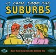 VARIOUS ARTISTS - IT CAME FROM THE SUBURBS (Compact Disc)