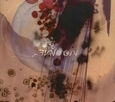 SILVERSUN PICKUPS - SWOON (Compact Disc)