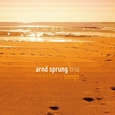 SPRUNG, ARND - IMAGINARY SONGS (Compact Disc)