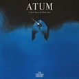 SMASHING PUMPKINS - ATUM (Compact Disc)