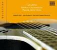 VARIOS ARTISTAS - POPULAR GUITAR MUSIC (Compact Disc)