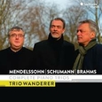 TRIO WANDERER - COMPLETE PIANO TRIOS (Compact Disc)