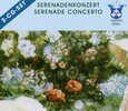 VARIOS ARTISTAS - SERENADE CONCERTO (Compact Disc)